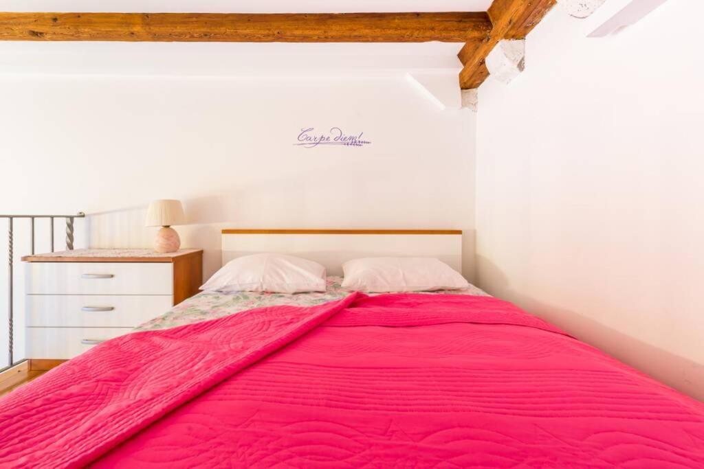 Carpe Diem On The Main Street - Stradun Apartment *