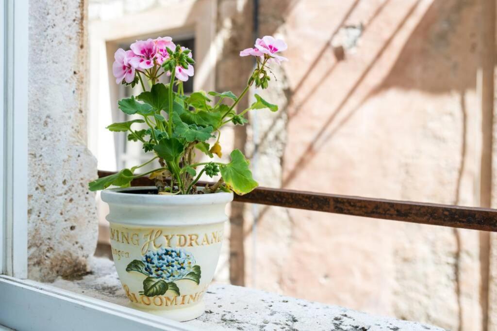 Apartman Carpe Diem On The Main Street - Stradun